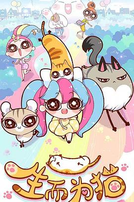 seo网站设计哪家好